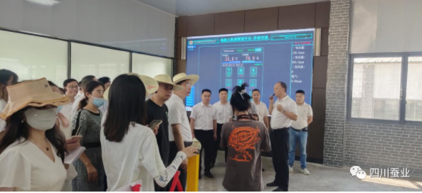 1662510395740135.png image.png