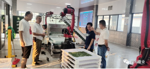 1662510403163992.png image.png