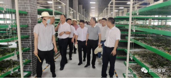 1662510410113338.png image.png